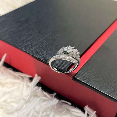 Δαχτυλίδι World Serpent ασημί